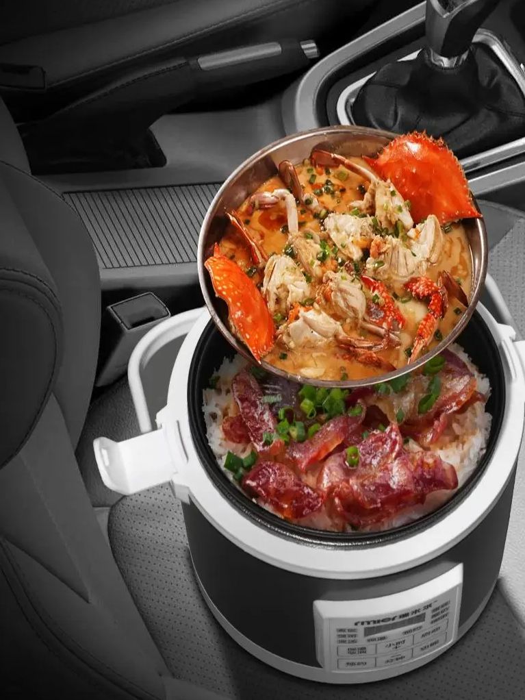ARIER 12-24V 220V Rice Cooker  - огляд і ціна Camping Cooking Rice